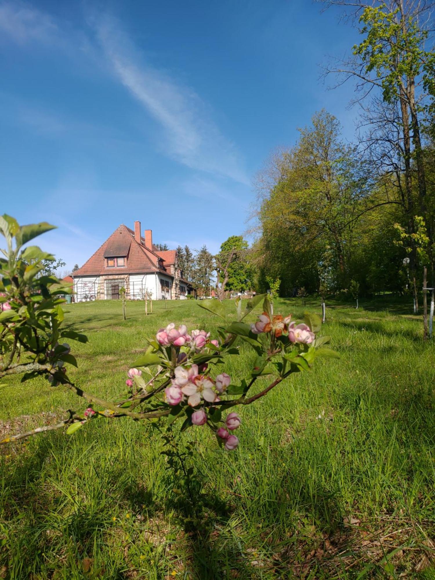 Haus Ringgau - Urlaub, Gemeinschaft Und Erlebnis Im Herzen Von Deutschland Herleshausen Exterior foto
